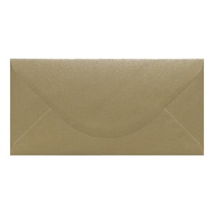 Champagne Kraft Envelope Dl Closed