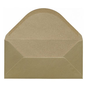 Champagne Kraft Envelope Dl Open
