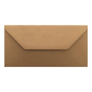 Fleck Kraft Envelope Dl Closed