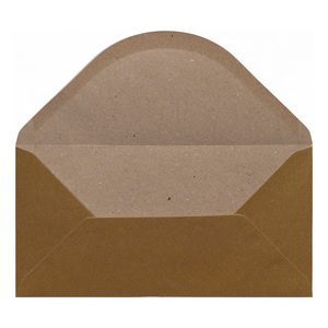 Gold Kraft Envelope Dl Open