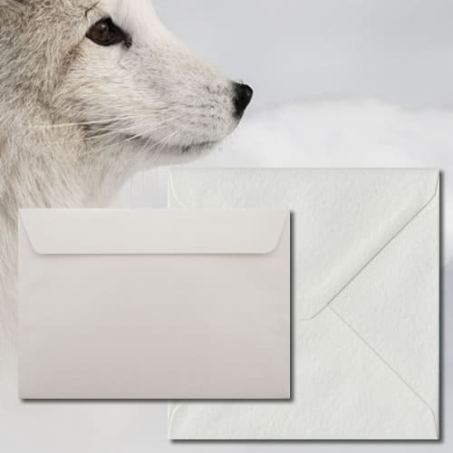 Pure White Envelopes