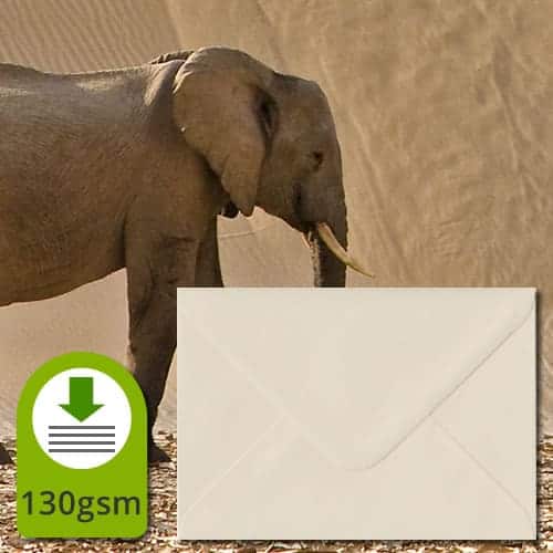 Ivory Cream Luxury Envelopes